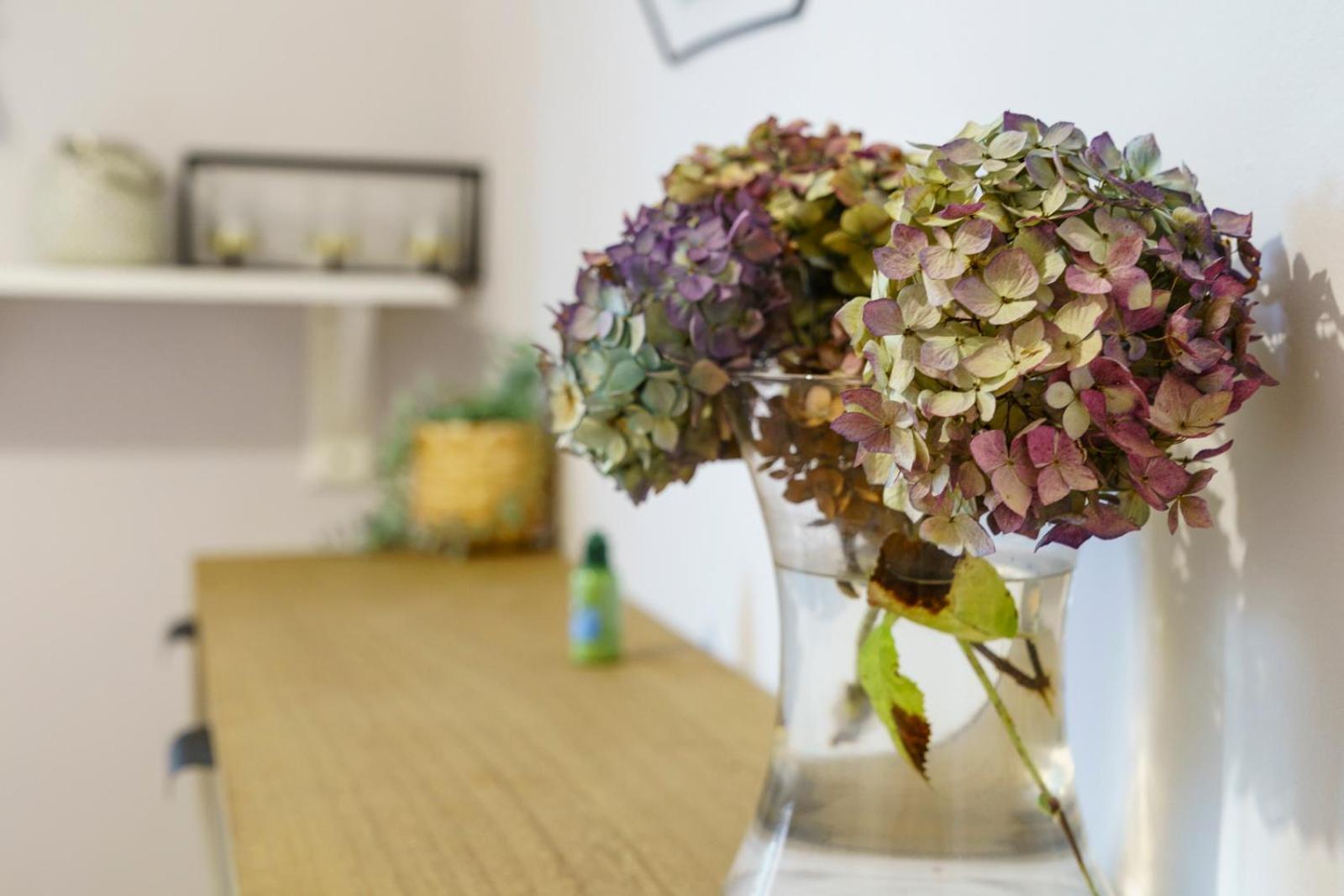 בלפסט Close To City Centre Stylish 3 Bedroom House מראה חיצוני תמונה